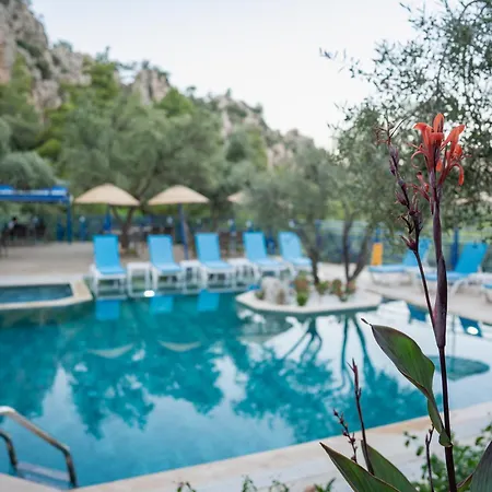 Hotel Karma Homes *